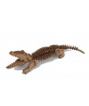 Cocodrilo