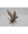Mariposa I