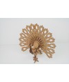 Pavo Real