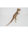 Tyrannosaurus