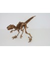 Velociraptor